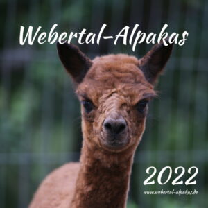 Kalender Webertal-Alpakas 2022