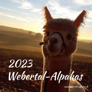 Kalender Webertal-Alpakas 2023