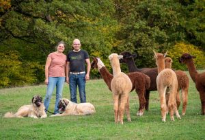 Corina und Martin stehen bei ihren Hunden und einem Teil ihrer Alpakas.