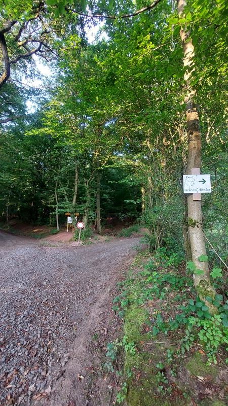 Feldweg mit Baum, an dem das Hinweisschild zu den Alpakas nach rechts hängt.