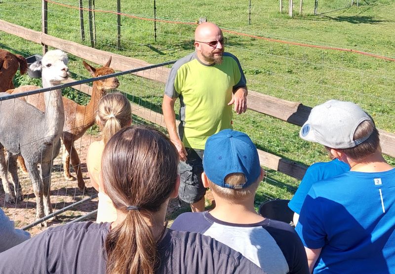 Martin beantwortet Kindern alle Fragen rund ums Alpaka. Die Alpakas Don Silver und Milano hören auch ganz aufmerksam zu.