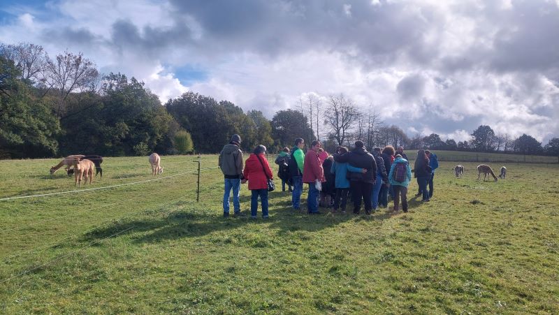 Eine Besuchergruppe inmitten unserer Alpakas auf der Wiese. Der Himmel ist zwar bewölkt, aber der Regen hält sich zurück.