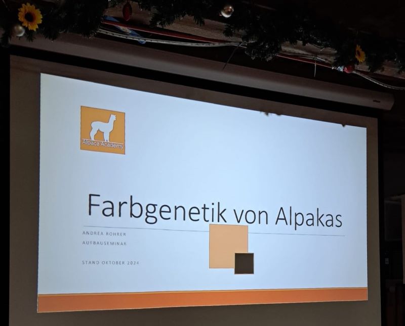 Ein Beamer zeigt den Start des Seminars Farbgenetik von Alpakas mit Andrea Rohrer.