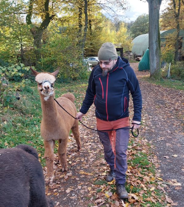 Alpaka Emerick ist mit Martin auf dem Waldweg unterwegs um zu trainieren.