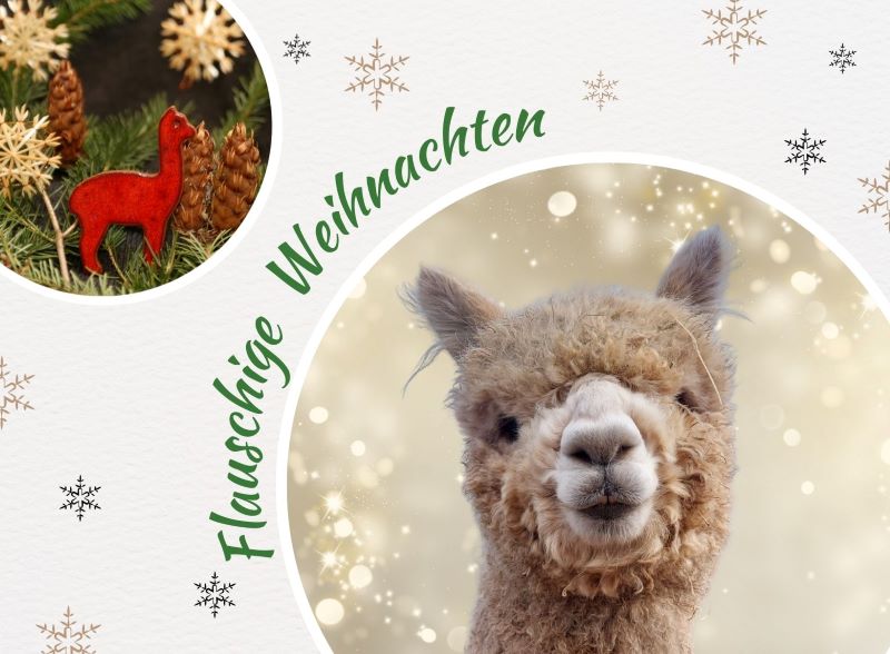 Unsere Weihnachtskarte 2025 mit Goldi im Mittelpunkt.