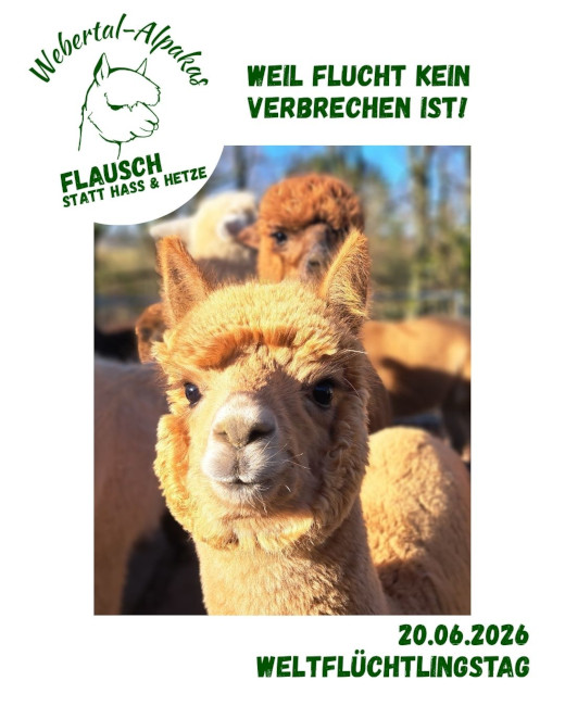 Ein Bild zum Weltflüchtlingstag mit der Aussage, dass Flucht kein Verbrechen ist. Esperado schaut als kleines Pupertier voller Zuversicht in die Kamera.